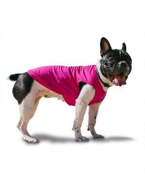 Roupa para cachorros Camiseta Dry Fit – Rosa